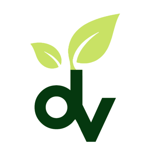 Dealvara Online Auctions